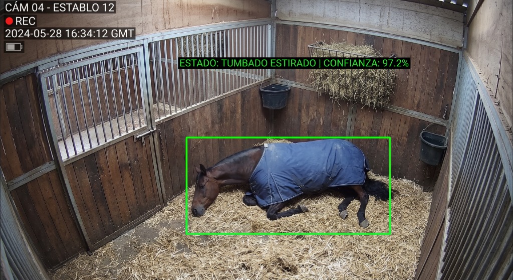 APP HIT Visión en tiempo real del caballo en box